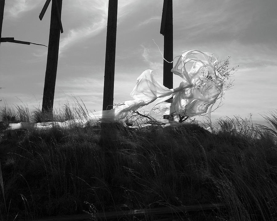 Guardian Angel Photograph by Ken OToole Guardian Angel Photograph by Ken OToole
