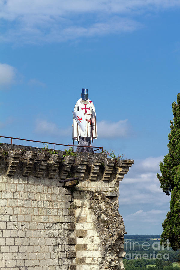 Guarding the Chateau de Chinon, Bretagne, France Photograph by Elaine Teague