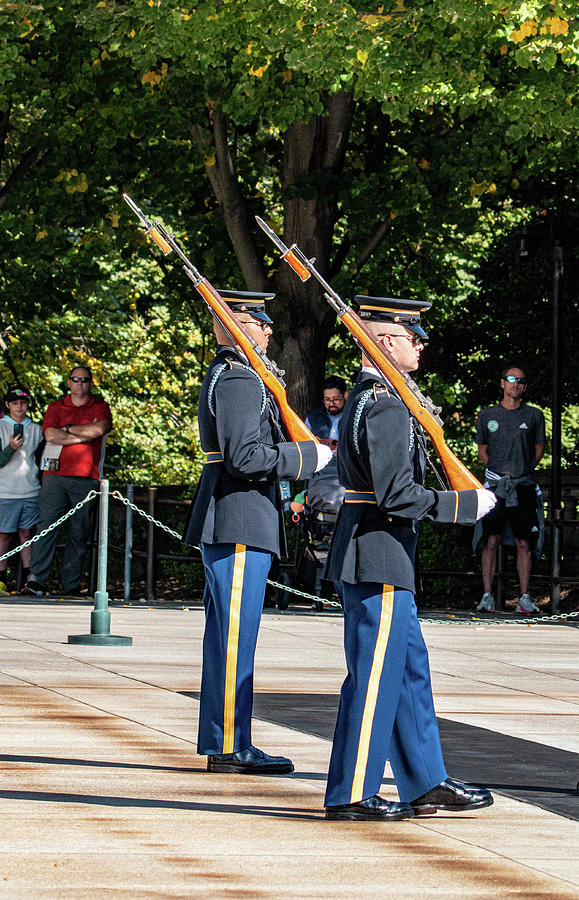 Guards Photograph by Bill Rogers - Fine Art America