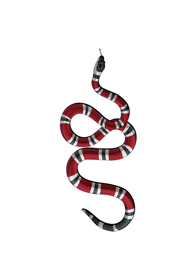 tom håndbevægelse Nøjagtighed Gucci Snake Digital Art by Song Daniel