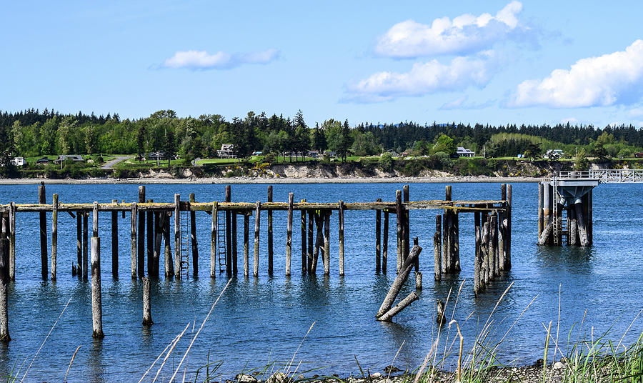 Guemes Island and Old Pier Photograph by Tom Cochran