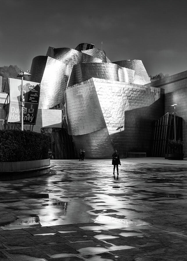 Guggenheim Museum  Photograph by Shirley Mitchell