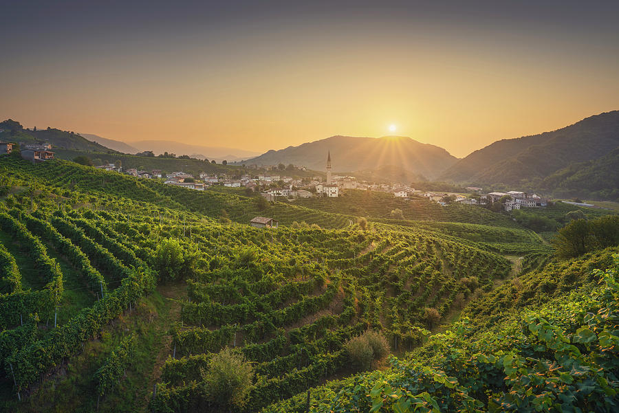 Guia at dawn and vineyards. Prosecco Hills Photograph by Stefano Orazzini