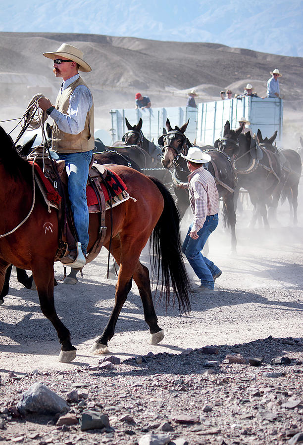 Guiding Twenty Mules In Death Valley Photograph by Ivete Basso Photography
