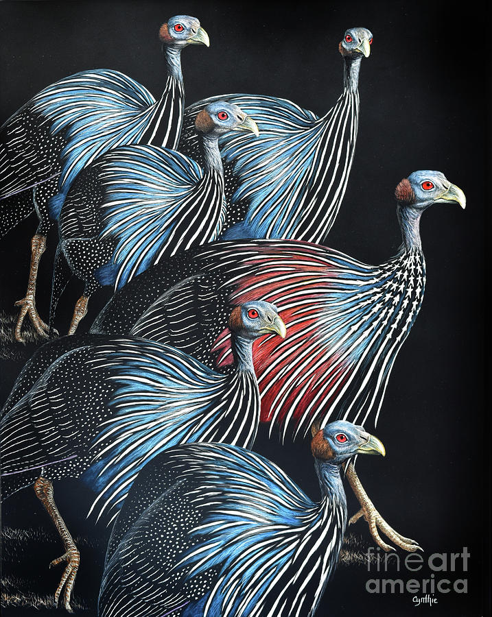 Guinea Fowl Humor Drawing by Cynthie Fisher