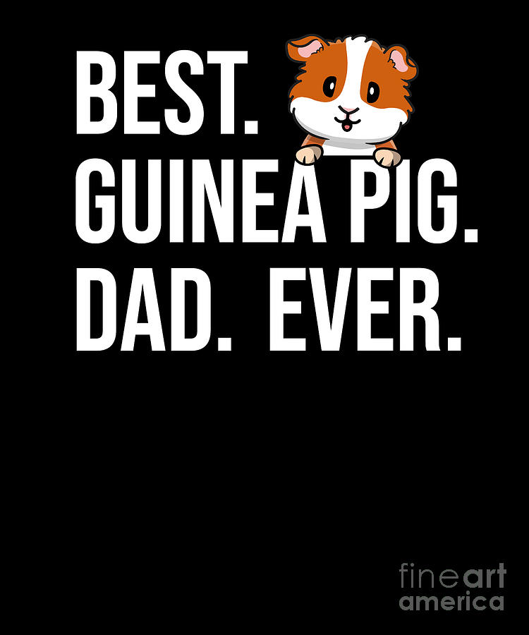 Guinea Pig Dad Digital Art by Kristen Morey - Fine Art America