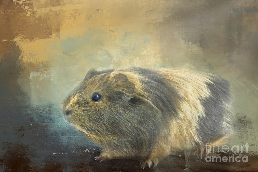 Animal Mixed Media - Guinea Pig by Elisabeth Lucas