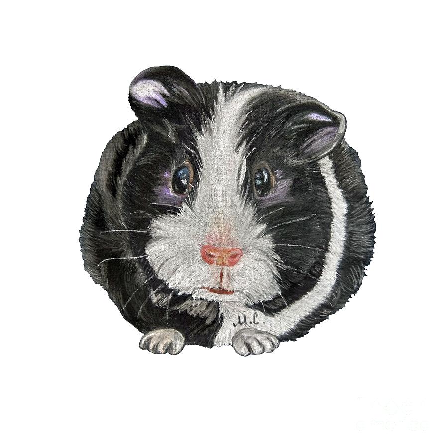 Guinea Pig Drawing By Maria Sibireva