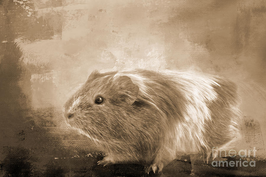 Animal Photograph - Guinea Pig Sepia by Elisabeth Lucas