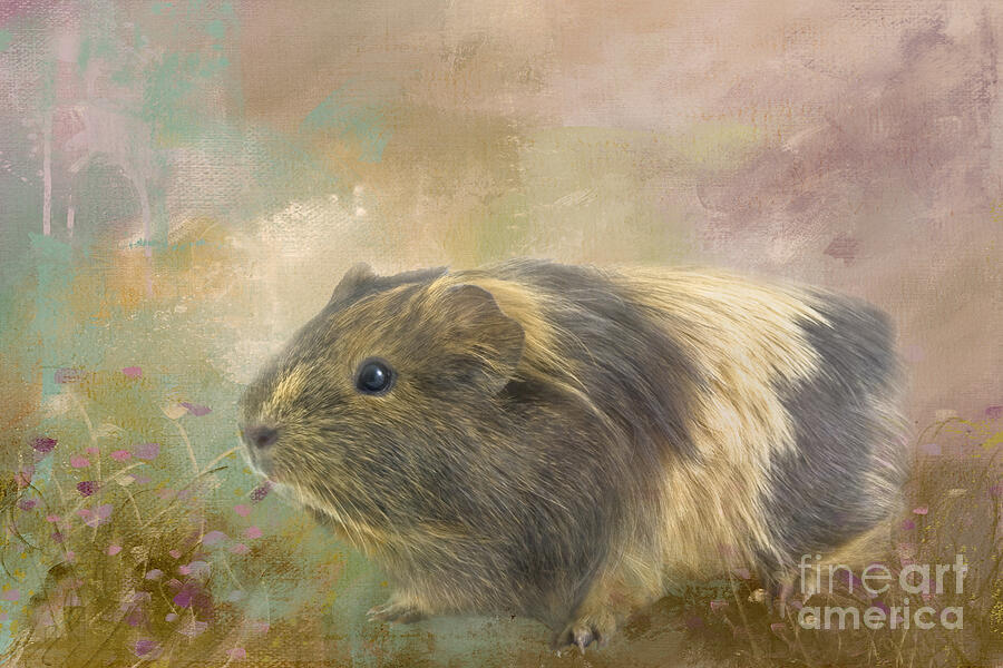 Animal Mixed Media - Guinea Pig Two by Elisabeth Lucas