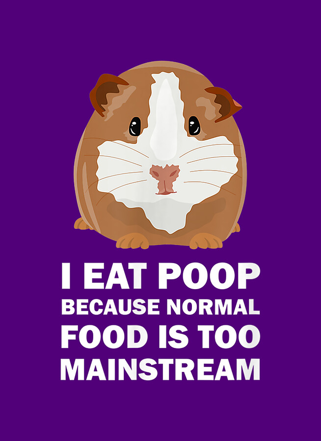 Guineas Pigs I Eat Poop Funny Guinea Pig Drawing by Do Tran Quang Pixels