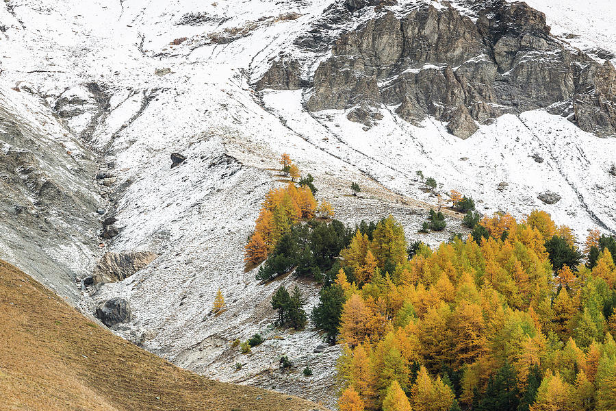 Guisane Valley in Autumn - 4 - French Alps Photograph by Paul MAURICE