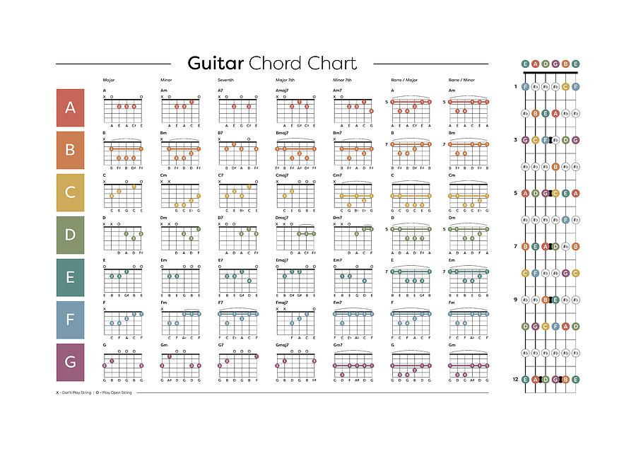 Guitar Chord / Fretboard Chart Digital Art By Penny And Horse | Pixels