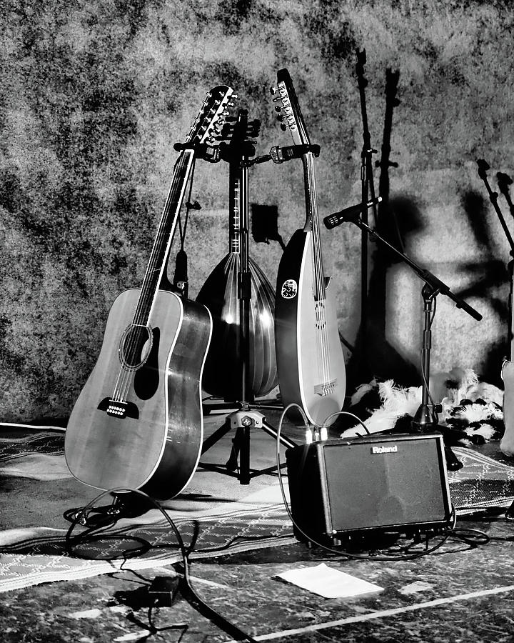 Guitars or Mandolins Photograph by Scott Olsen