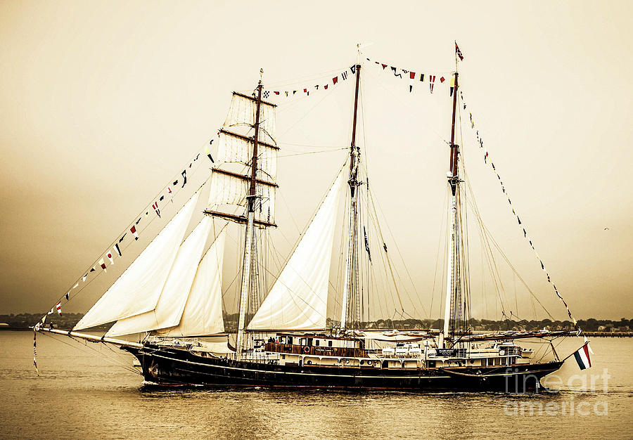 Gulden Leeuw Photograph by Kevin Fortier