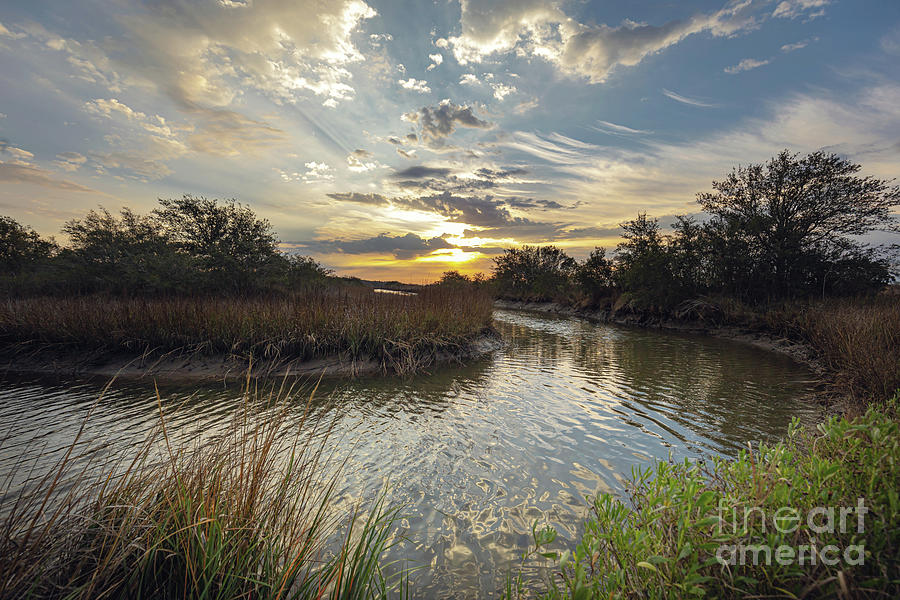 Gulf Coast Bayou Sunrise Photograph by Joan McCool - Fine Art America