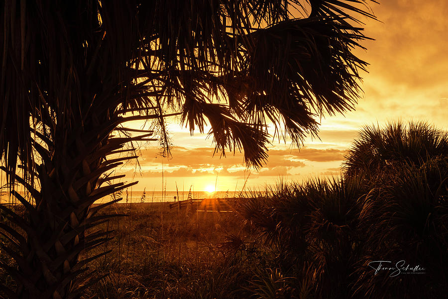 Gulf Coast Florida Sunset Photograph by Photos By Thom
