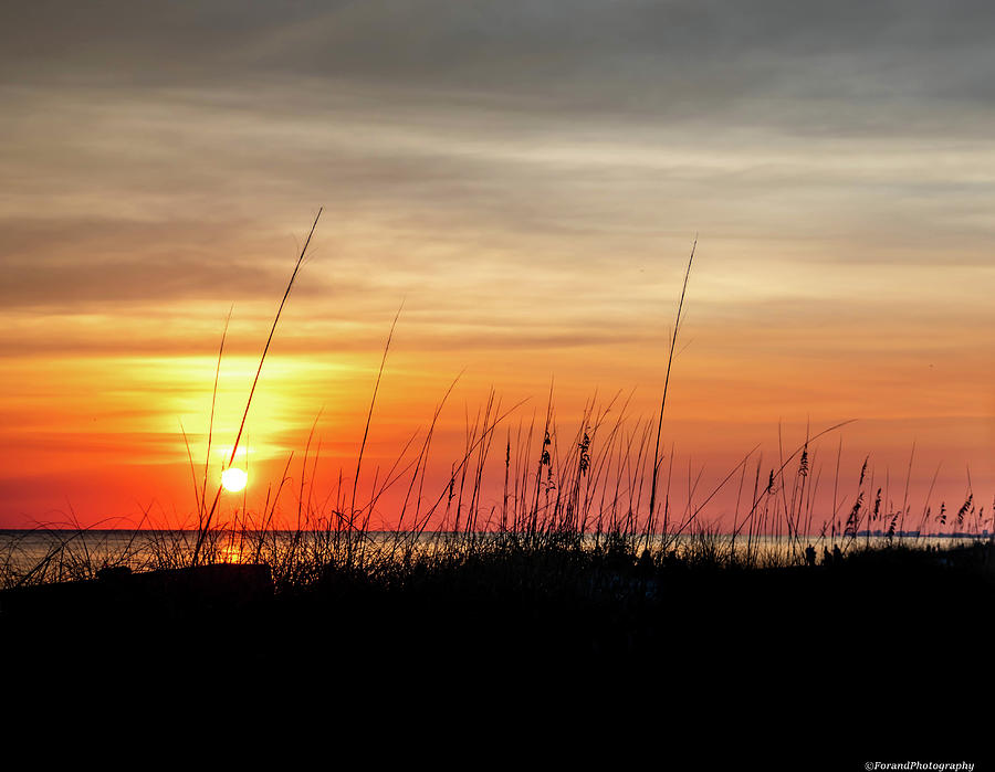 Gulf Coast Sunset Photograph