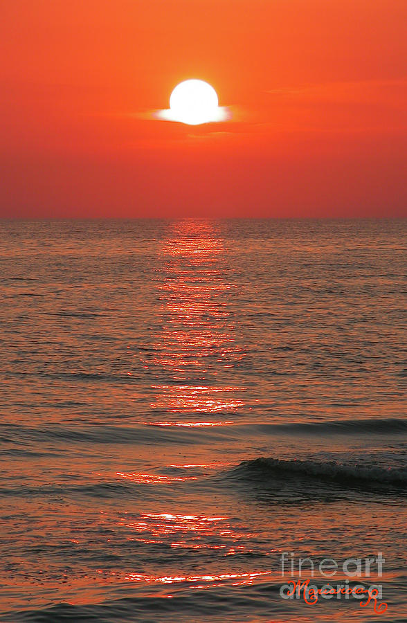 Gulf Coast Sunset Photograph by Mariarosa Rockefeller