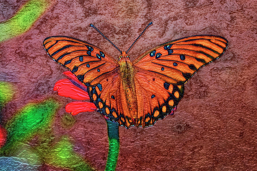 Gulf Fritillary Butterfly Art 001 Photograph by George Bostian