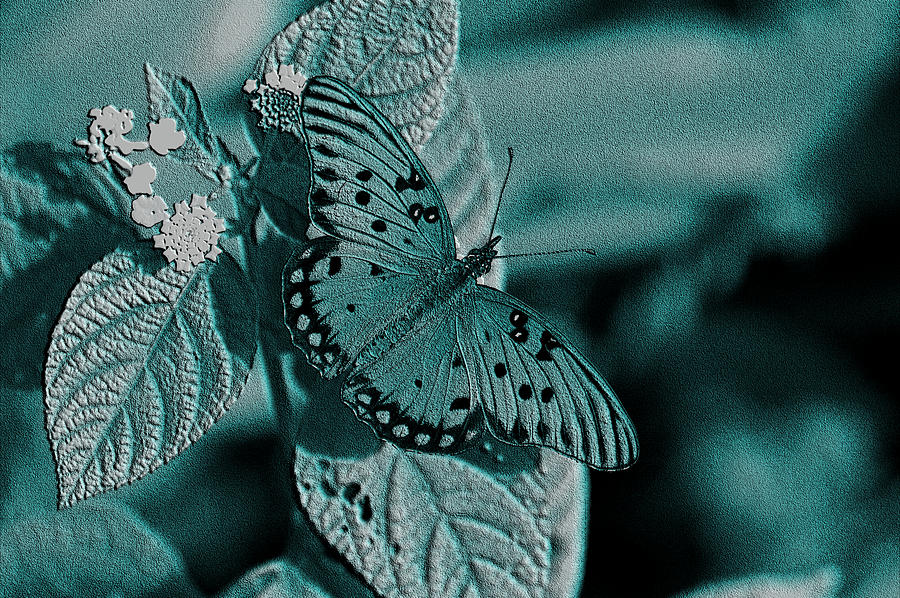 Gulf Fritillary Butterfly Emboss Photograph by David Weeks