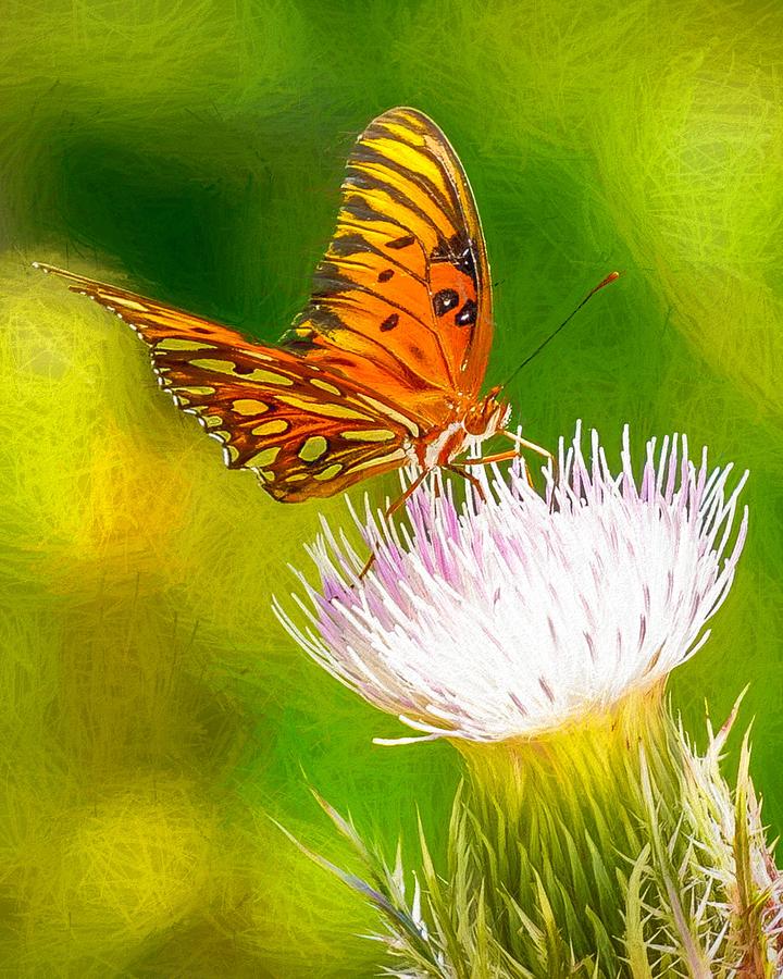 Gulf Fritillary Oil Painting Photograph by Susan Rydberg