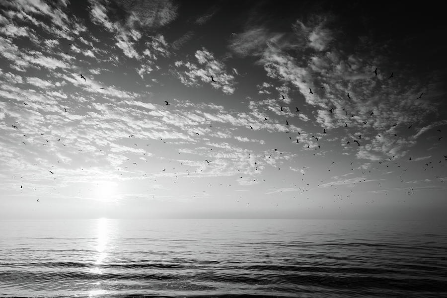 Gulf of Mexico sunset BW Photograph by Alexey Stiop