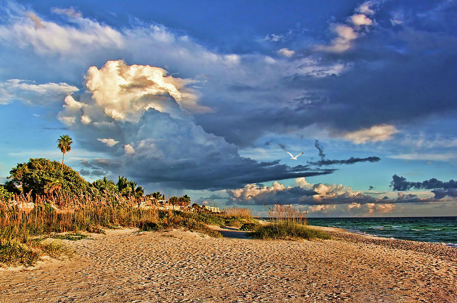 Gulf Shores Photograph by HH Photography of Florida