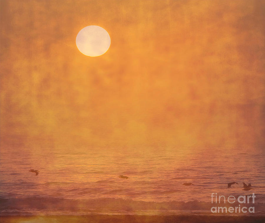 Gulf Sunrise Photograph by Gary Richards