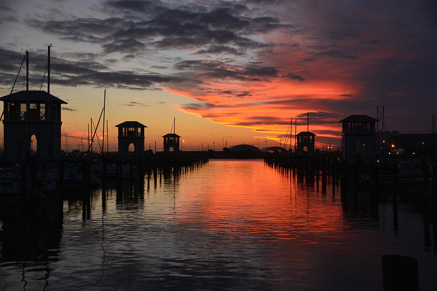 Gulfport Marina Sunset Photograph by Charlotte Schafer