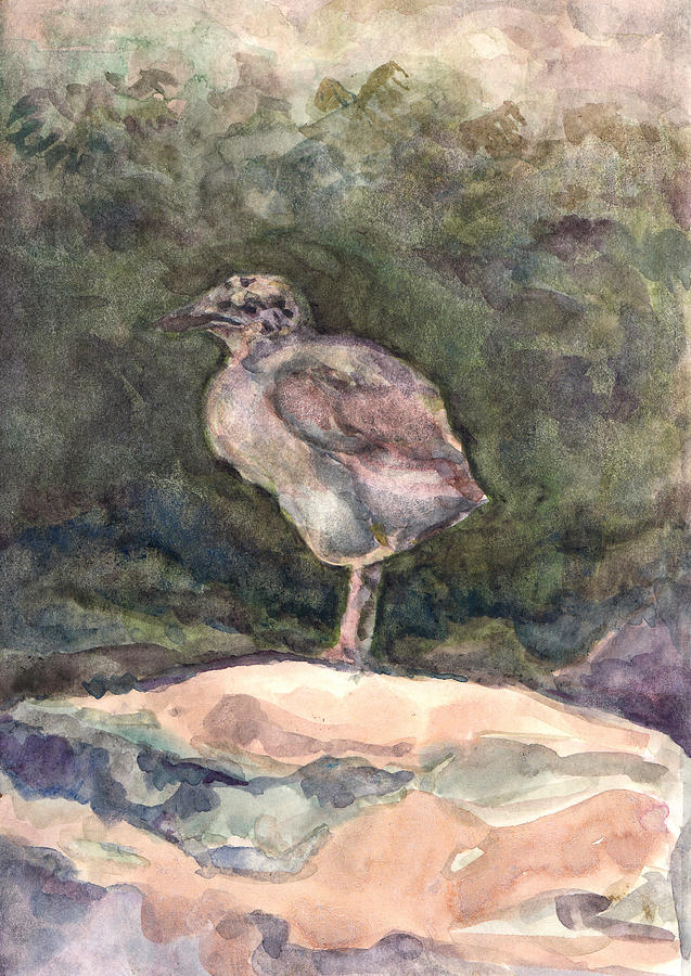 Gull Chick Painting by Abby McBride