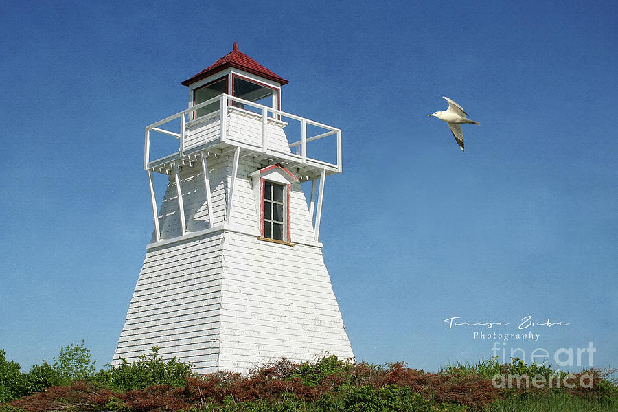 Gull Harbour Lighthouse Photograph by Teresa Zieba