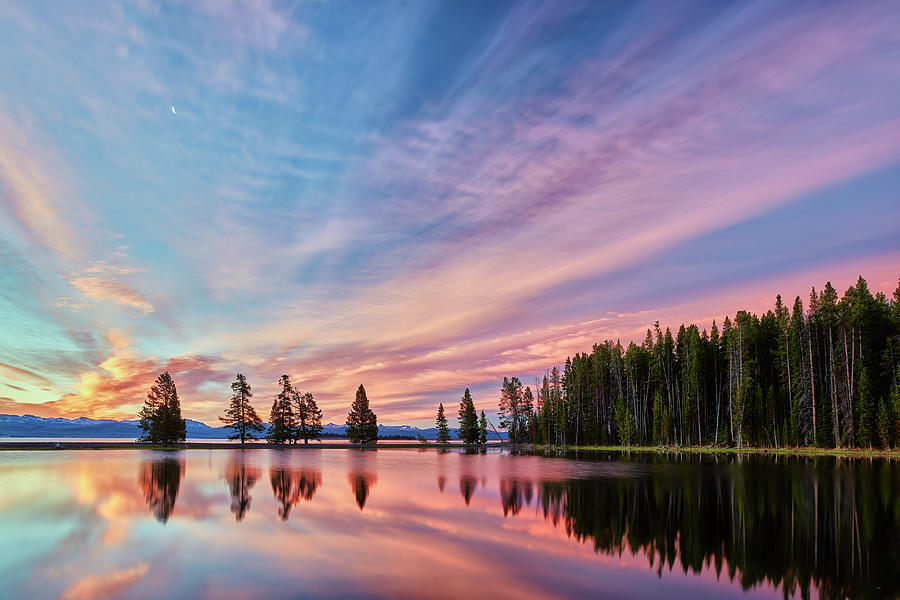 Gull Point in Yellowstone National Park Photograph by Jon Glaser