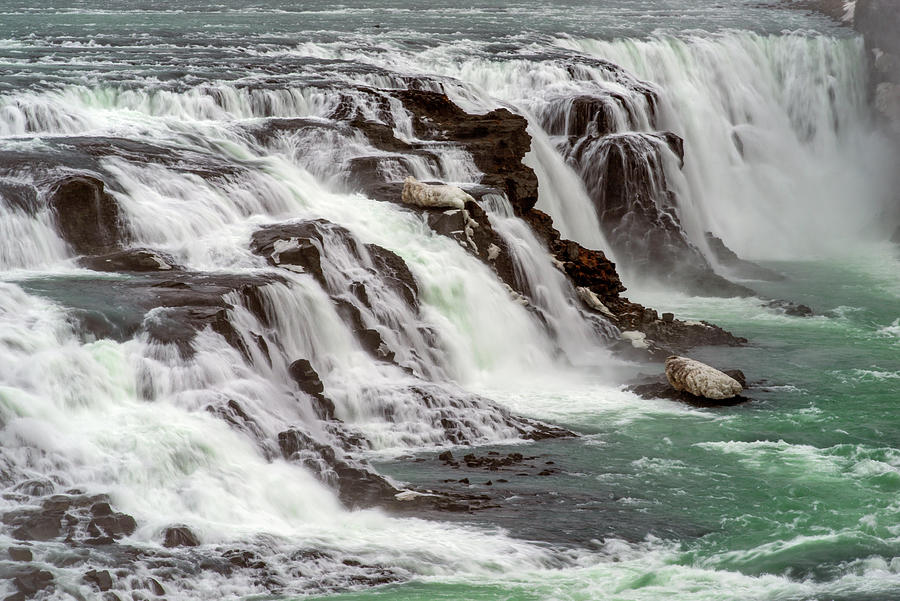 Winter Photograph - Gullfoss waterfalls, Iceland by Dubi Roman
