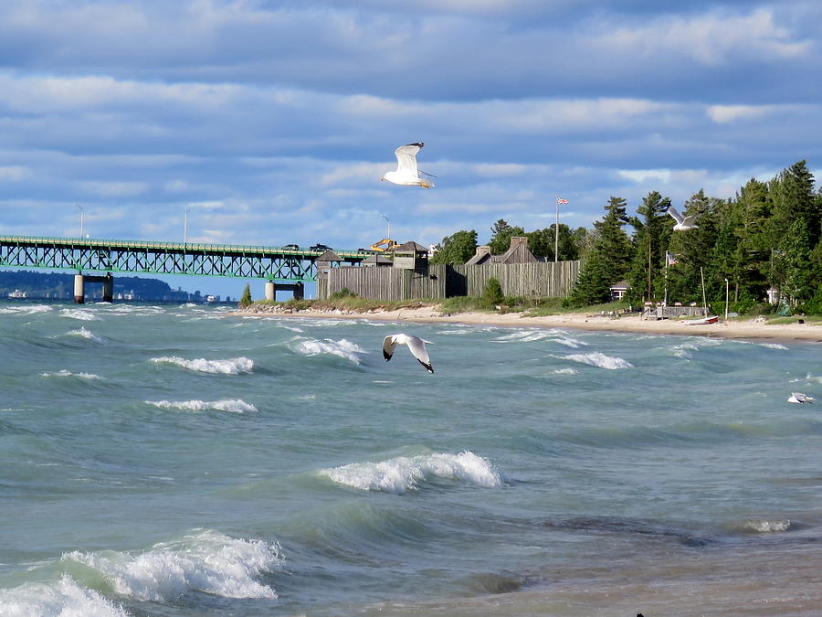 Gulls and Fort Michillimackinac Photograph by Keith Stokes