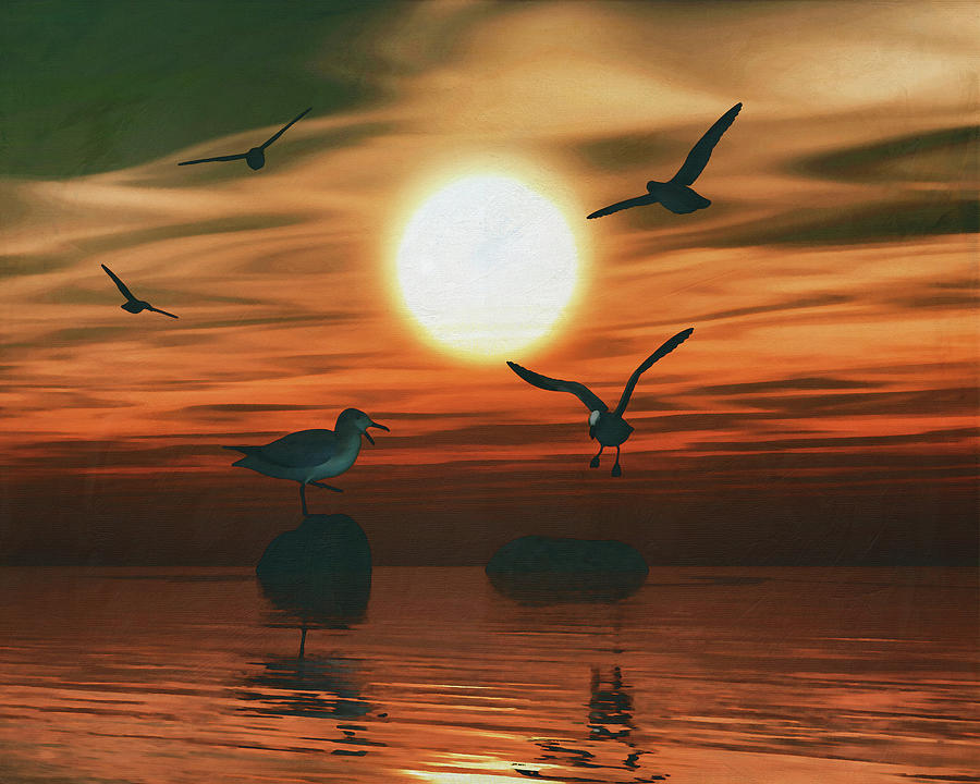 Gulls at sunset 3 Painting by Jan Keteleer
