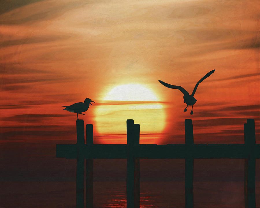 Gulls at sunset 5 Painting by Jan Keteleer