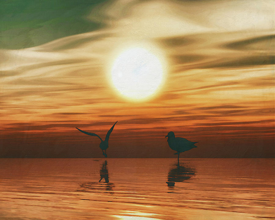 Gulls at sunset Painting by Jan Keteleer