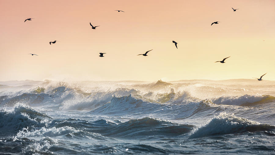 Gulls Flying Over Waves Gulf Islands National Seashore Florida Photograph by Jordan Hill