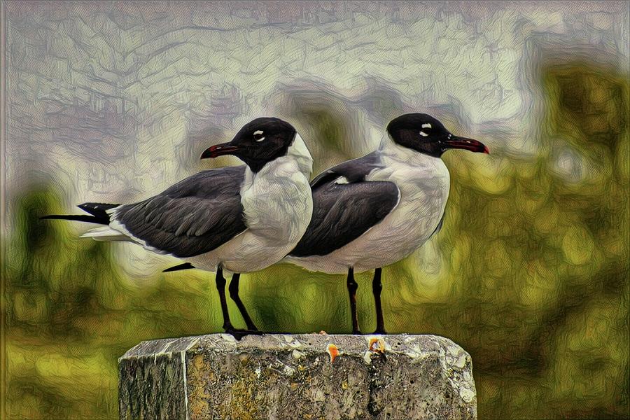 Gulls on Guard Photograph by Sherry Kuhlkin