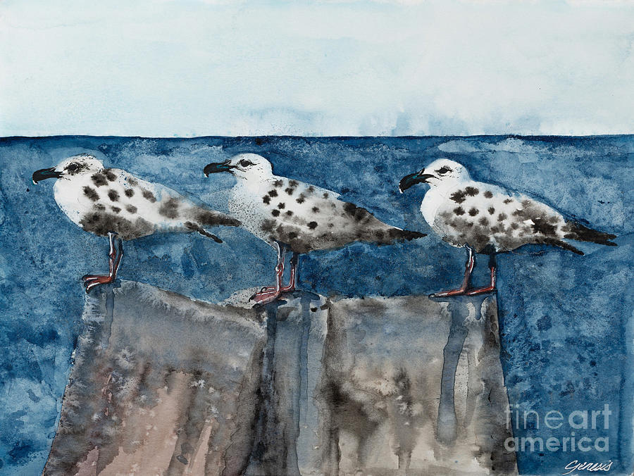 Nature Painting - Gulls Threesome by Genesis VanDeWalle