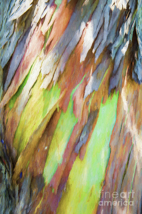 Gum tree bark painting Photograph by Sheila Smart Fine Art Photography