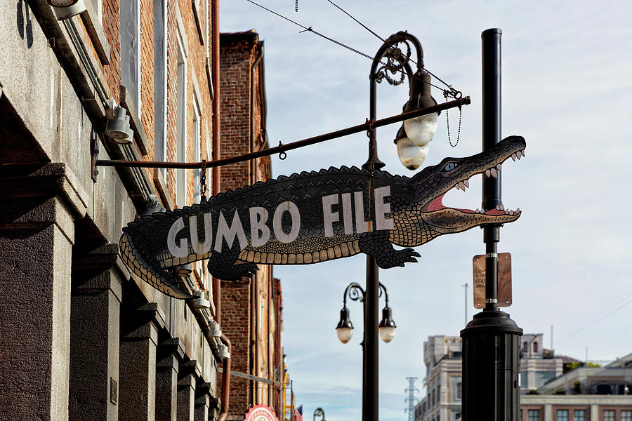 Gumbo File Photograph by John Hoey