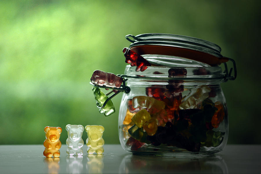 Gummy Bears Photograph by Gregoria Gregoriou Crowe fine art and creative photography.
