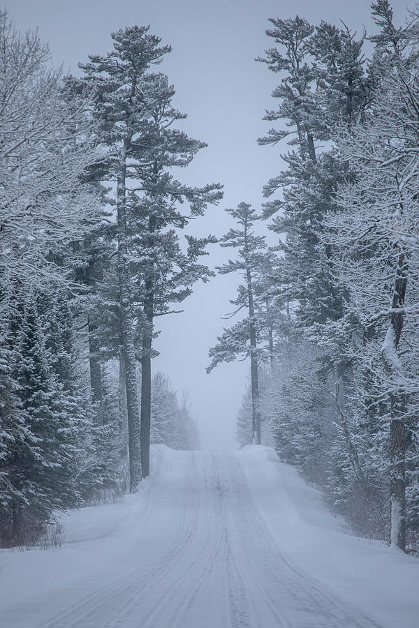 Gunflint Trail in Snow Photograph by Kevin Argue