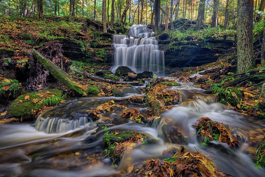 Gunn Brook Falls in October Photograph by Kristen Wilkinson