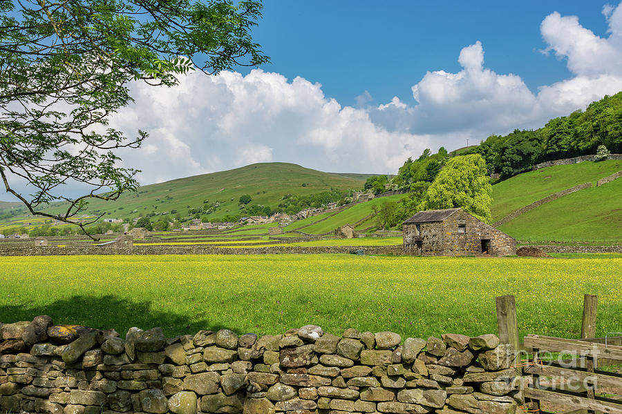 Gunnerside Meadows, Swaledale Photograph by Tom Holmes Photography