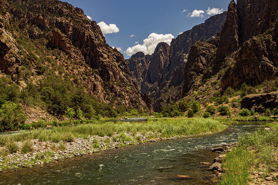 Gunnison River Photograph by Bryant Sinka - Fine Art America