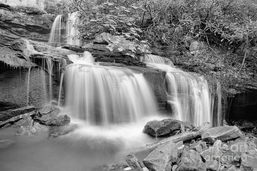 Gushing Through Forbes State Forest 2021 Black And White Photograph by Adam Jewell