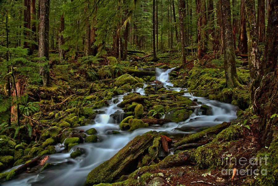 Gushing Through Sol Duc Photograph by Adam Jewell